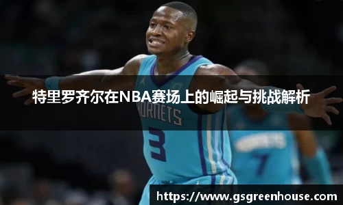 特里罗齐尔在NBA赛场上的崛起与挑战解析