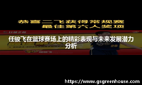 任骏飞在篮球赛场上的精彩表现与未来发展潜力分析