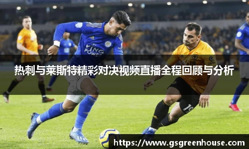 热刺与莱斯特精彩对决视频直播全程回顾与分析
